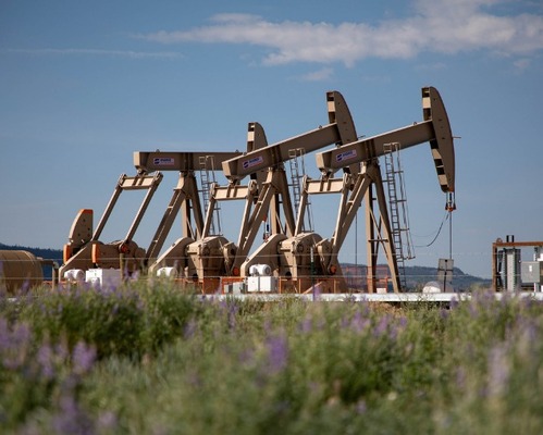 Trump'ın ucuz petrol vaadi