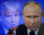 Trump, Putin'e nadir toprak elementleri teklifinde bulunacak