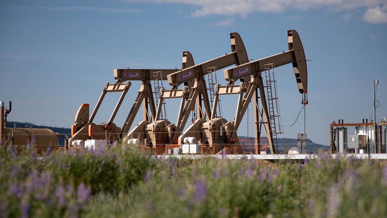 Trump-Putin görüşmesi sonrası petrol fiyatları düştü