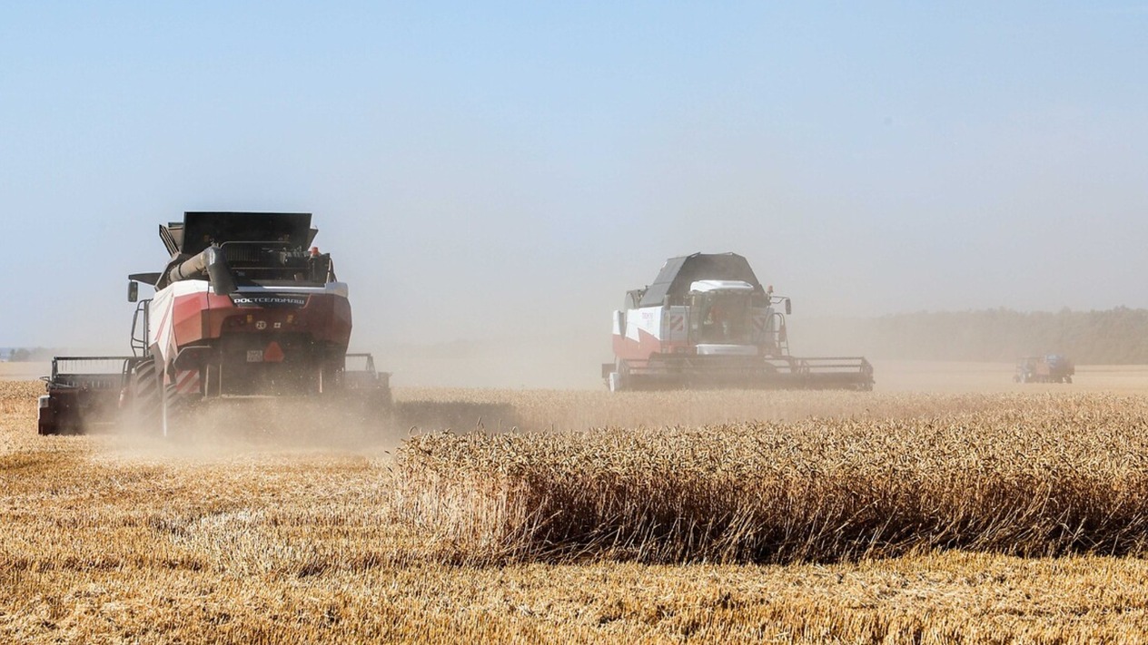 TÜİK: Tahıl üretimi bir önceki yıla göre yüzde 7,5 azaldı