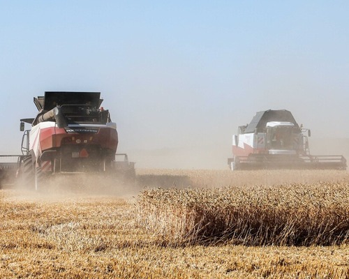 TÜİK: Tahıl üretimi bir önceki yıla göre yüzde 7,5 azaldı