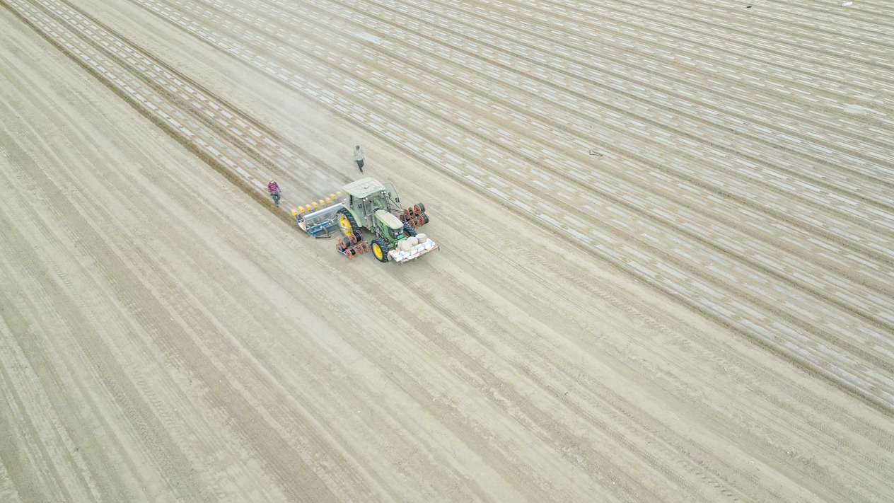 TÜİK: Tarımsal girdi fiyatları temmuzda arttı