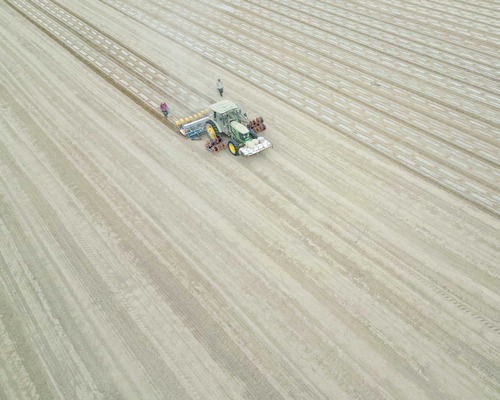 TÜİK: Tarımsal girdi fiyatları temmuzda arttı