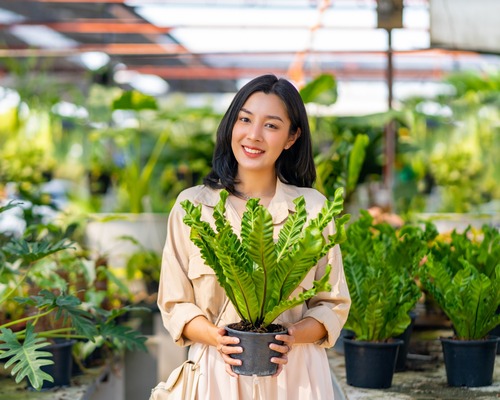 Türk çiçek sektörü gözünü Japonya'ya dikti
