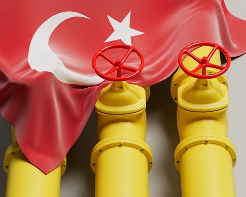 Türk enerji şirketleri dünyanın zirvesine oynamalı