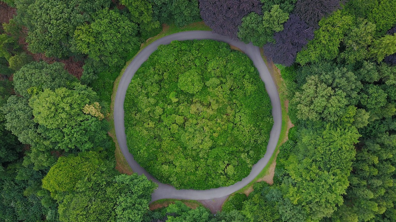 Türk Telekom'da döngüsel kader: Kamudan özele, özelden kamuya