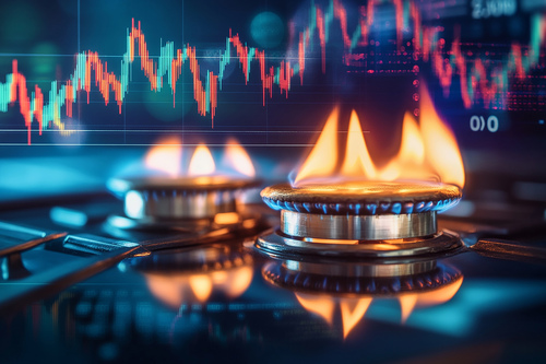 Türkiye'nin doğal gaz ithalatı şubatta yüzde 16,64 arttı
