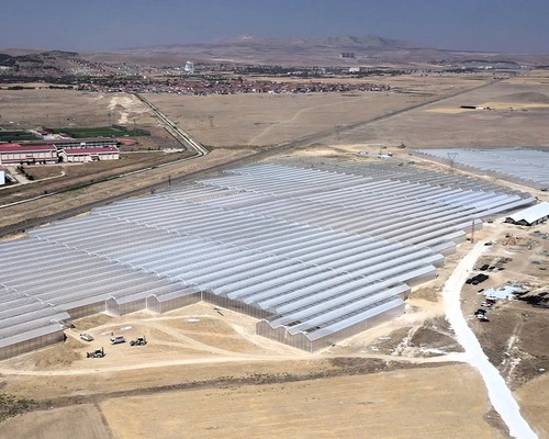 Türkiye’nin en büyük jeotermal serası Afyonkarahisar'da açıldı