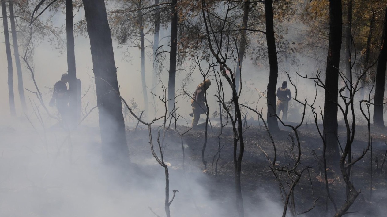 Türkiye, Yunanistan ve Bulgaristan alevlerle mücadele ediyor