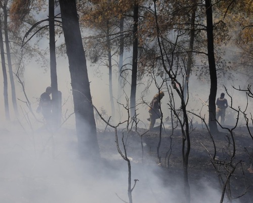 Türkiye, Yunanistan ve Bulgaristan alevlerle mücadele ediyor