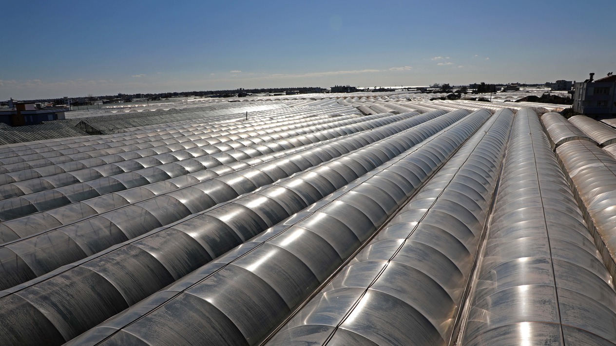 Ukrayna'nın anti-damping kararı Antalya'yı nasıl etkileyecek?