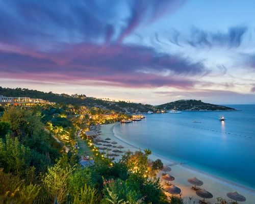 Vedat Aşçı'dan Pasha Holding ile ortaklık açıklaması: Öyle bir rakam yok