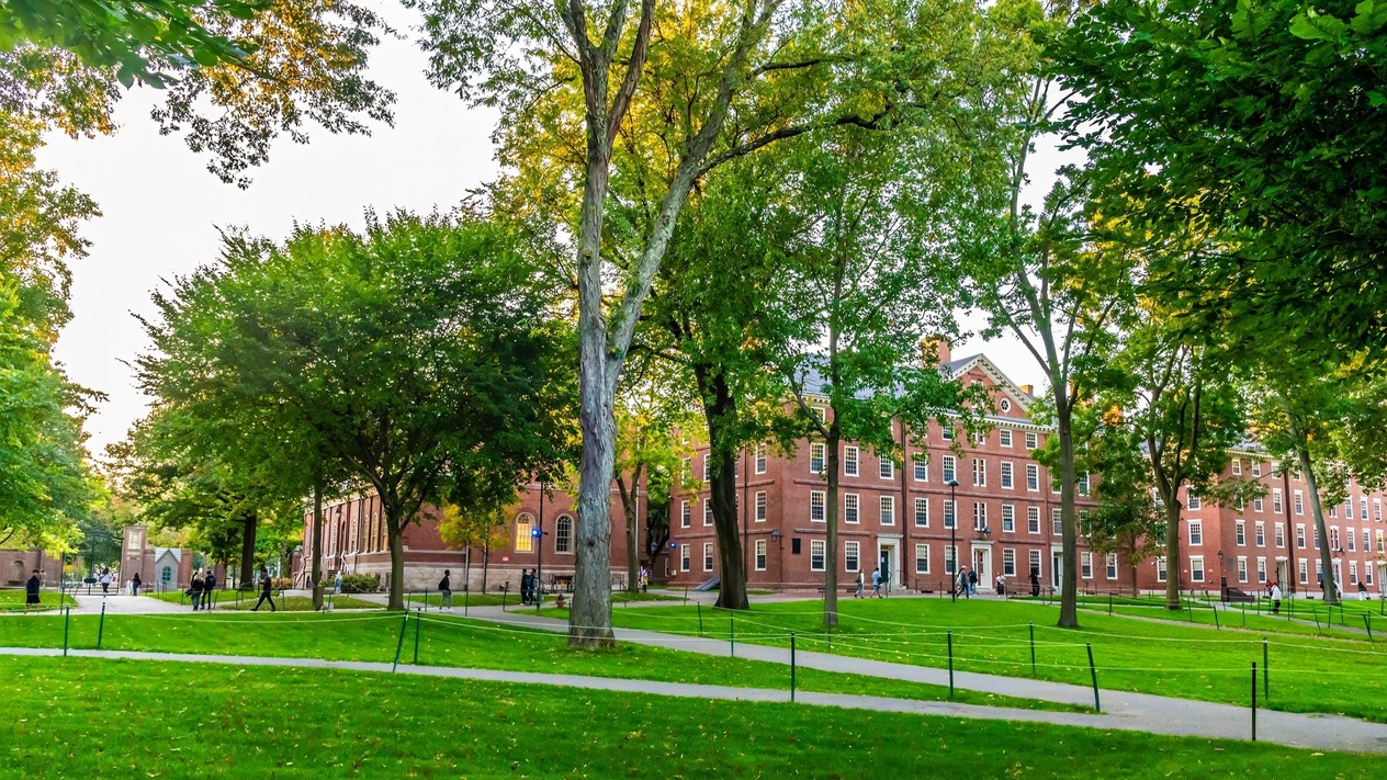 Yabancı öğrencilere vize engeli 44 milyar dolarlık katkıyı tehdit ediyor