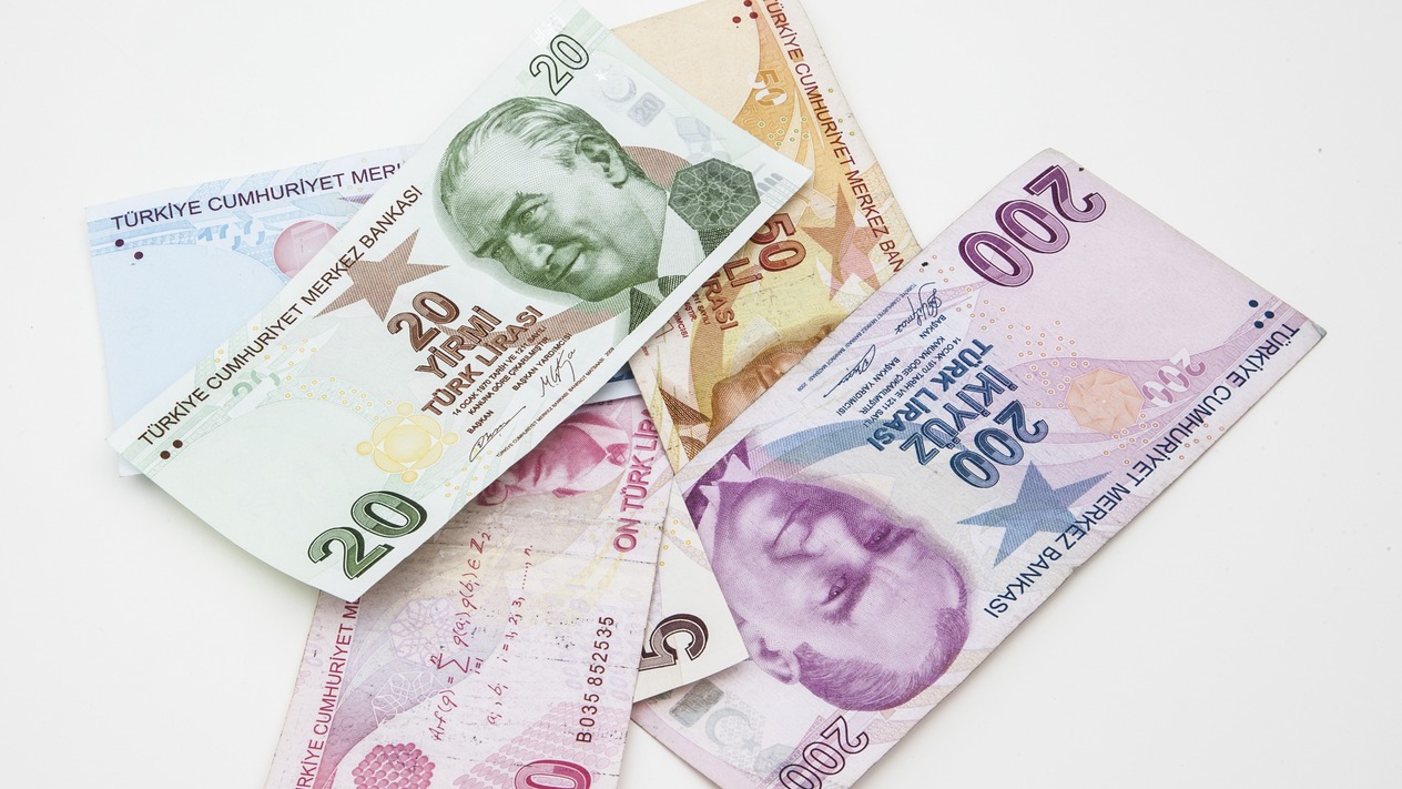 Yeni 20 TL banknotlar tedavüle girdi