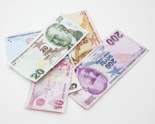 Yeni 20 TL banknotlar tedavüle girdi
