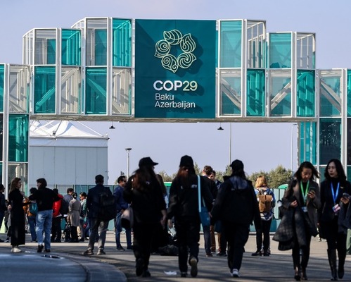 Yeşil küre: İklim zirvesi