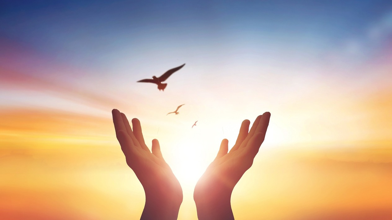 Yükseldikçe başını eğenler: Pencere kenarında kozmosla yüzleşmek