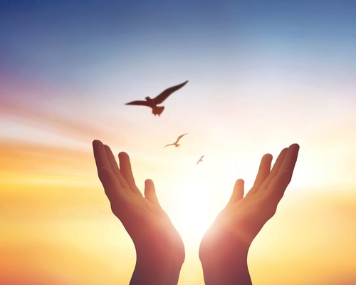 Yükseldikçe başını eğenler: Pencere kenarında kozmosla yüzleşmek