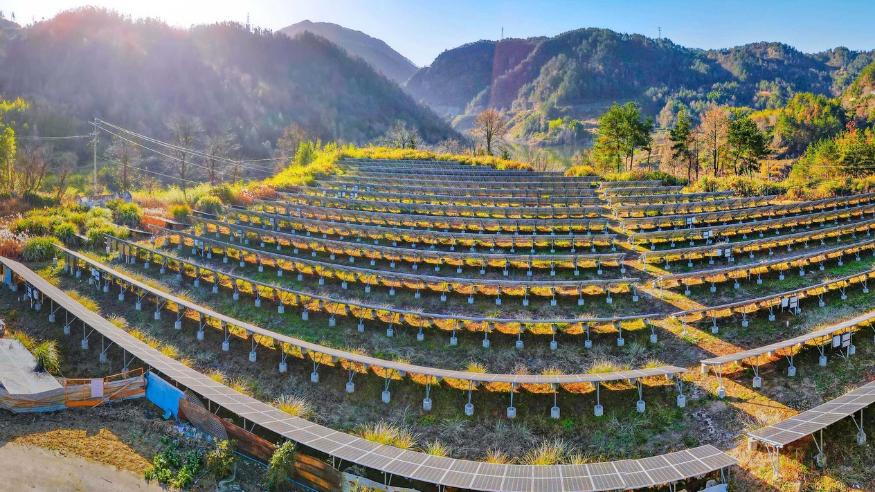 Zorlu Alfa tasfiye ediliyor