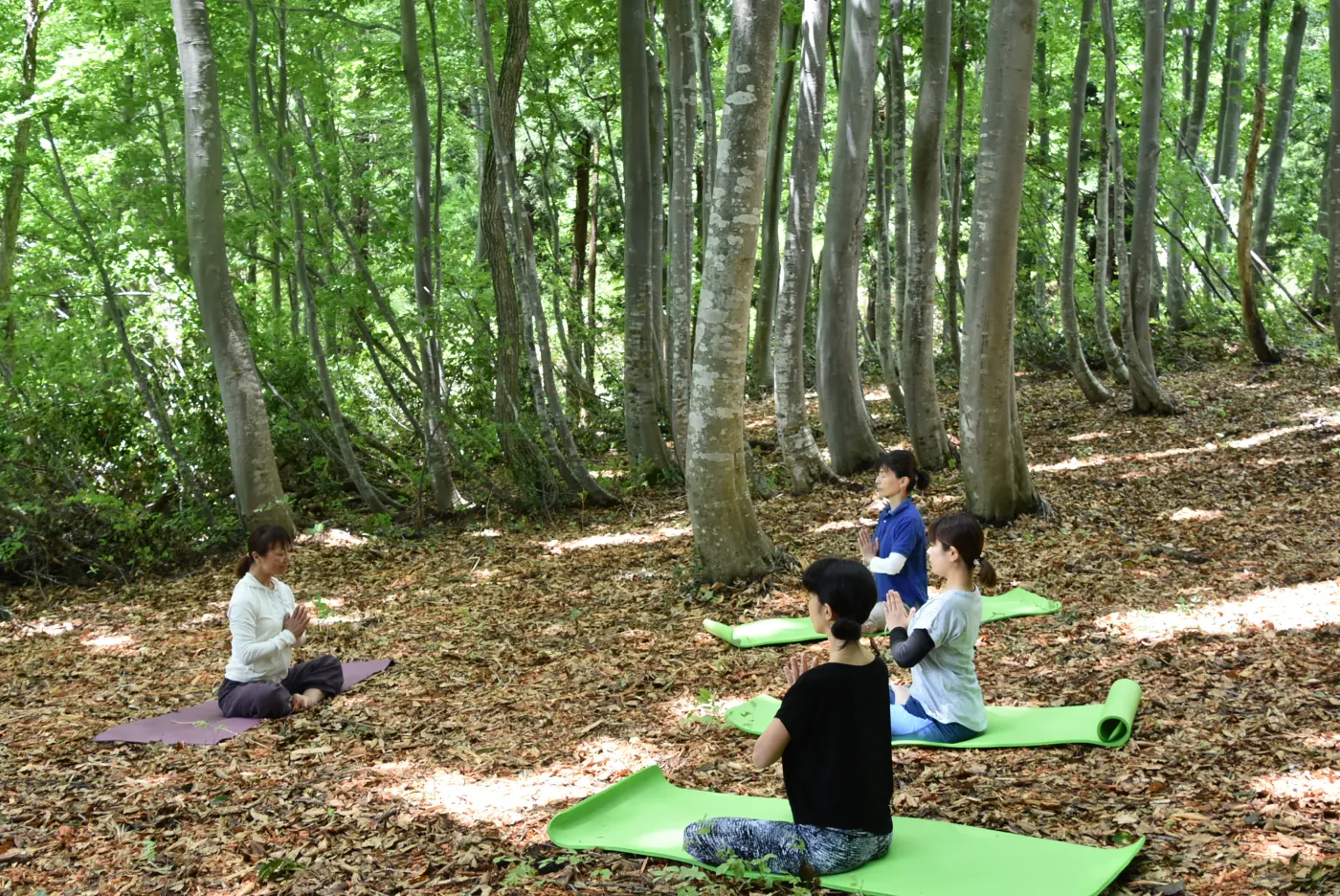 Fotoğraf: Forest Therapy Base "Iiyama" – Japonya