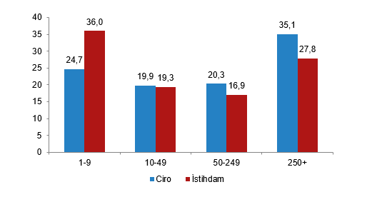 Büyüklük grubuna göre ciro ve istihdam dağılımı (%),2024